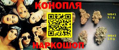 крисы Кунгур