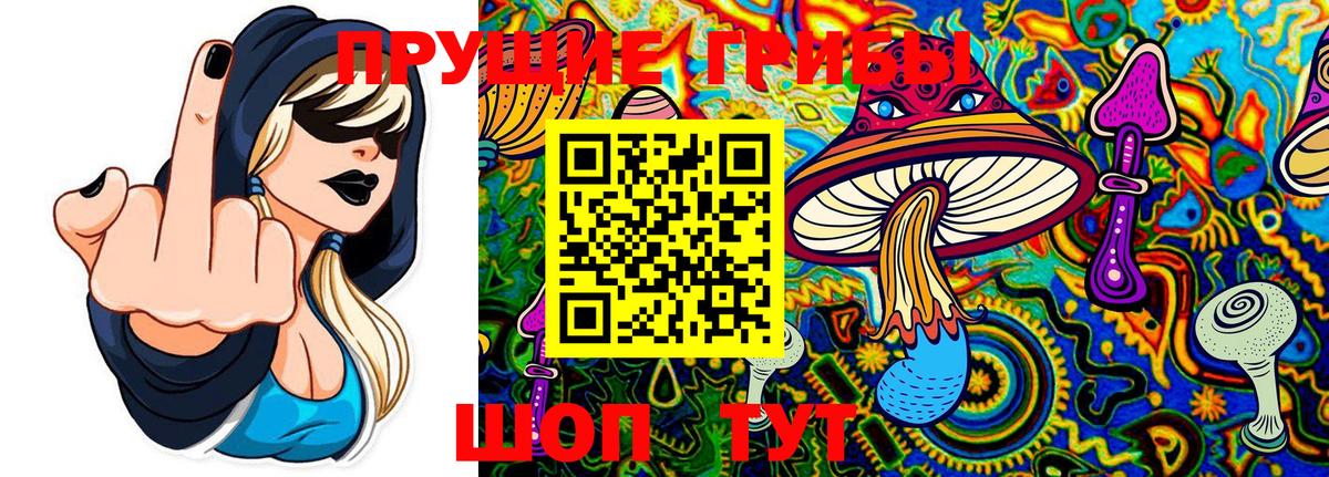 Псилоцибиновые грибы MAGIC MUSHROOMS Валуйки