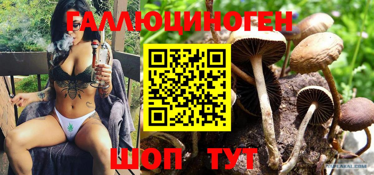 Галлюциногенные грибы Psilocybe  Вход с VPN  Валуйки 